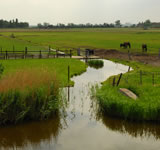 Uitzicht vanaf de Schaapskooi Uitzicht vanaf de Schaapskooi